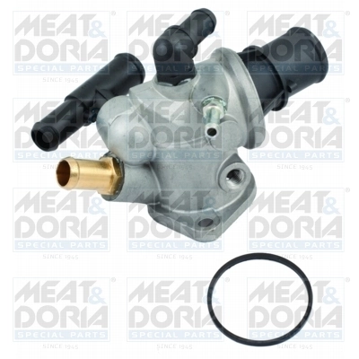 Thermostat, coolant